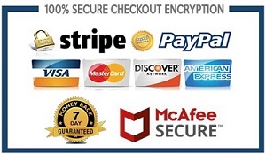 easa part 66 secure checkout